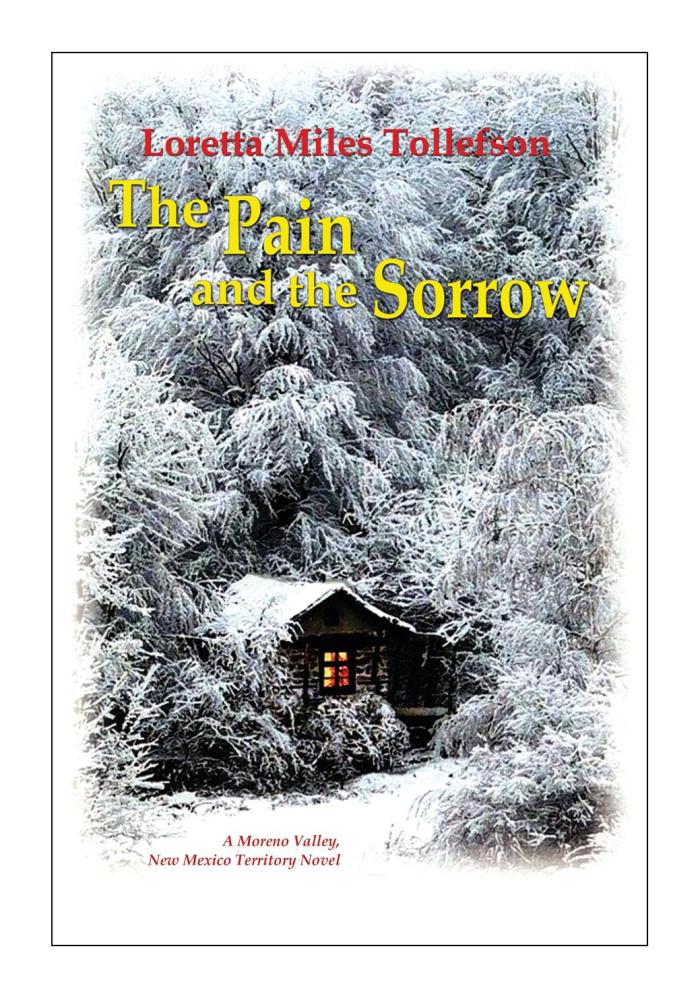 Pain and Sorrow cover.framed