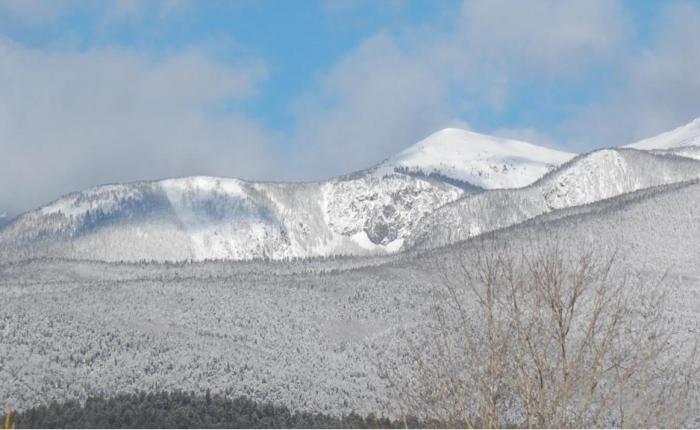 New Mexico Books for the Historical Fiction Reader on Your Gift&nbsp;List