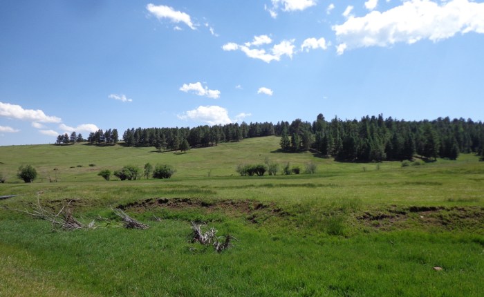 MORENO VALLEY TRADE&nbsp;FAIR