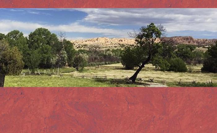 A Reward for El Coyote’s&nbsp;Death