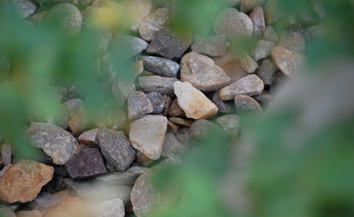 Southwest Proverbial Rolling&nbsp;Stones