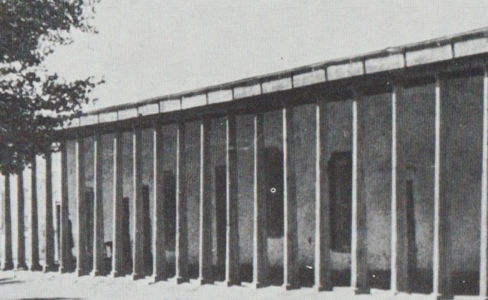 Shopping, Gambling, and Dancing, Oh My