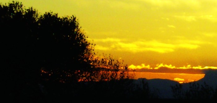 Introducing … NOTHING LASTS FOREVER